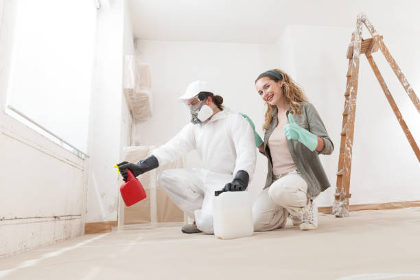 Mold Remediation for Vacation Homes in Kosciusko, MS