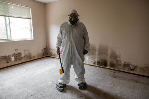 Best Mold Odor Removal Services  in Kosciusko, MS